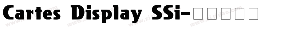 Cartes Display SSi字体转换